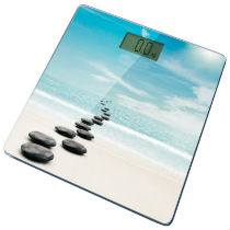 Электронные напольные весы в Заречье